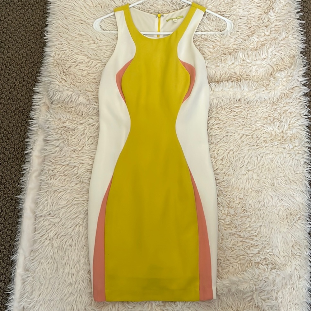 Gianni Bini Body Hugging Sheath Dress